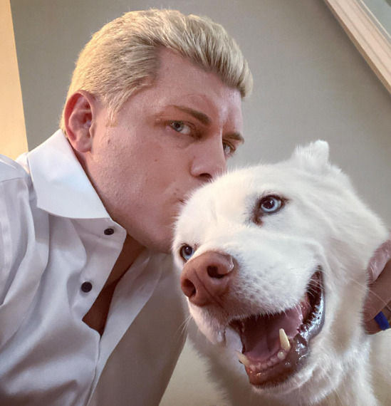 An image of Cody Rhodes with his Dog