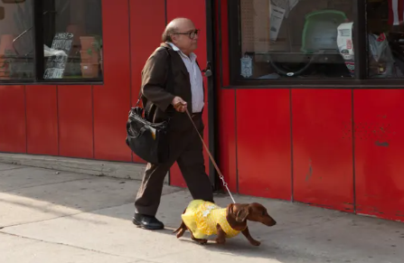 An image of Danny DeVito with his Dog