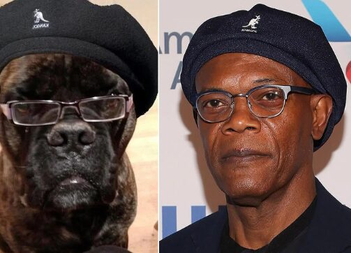 An image of both Samuel L Jackson with his dog